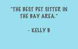 “the Best Pet Sitter In the Bay area.” 
— Diam Nobis
